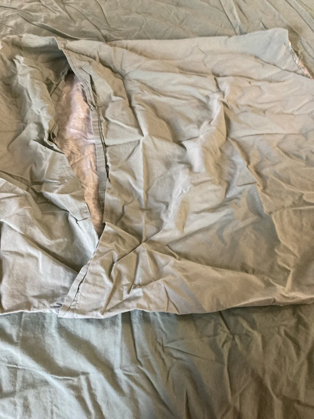 Pottery barn Green Paisley Home full/queen duvet and pillow shams